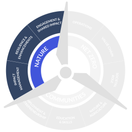 Renewable Energy Infrastructure And Its Importance